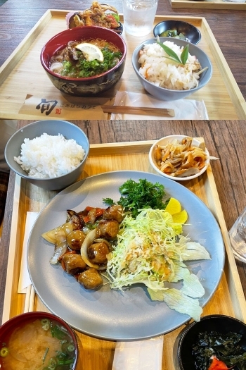 毎日の楽しみ！　日替わりランチ「こあはしカフェ」