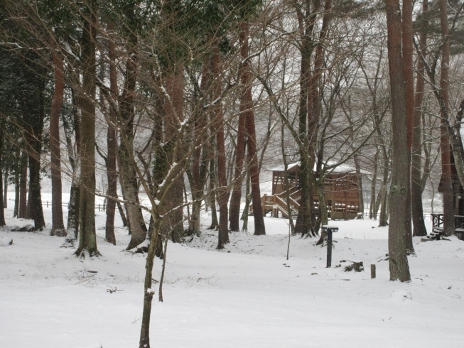 キャンプサイト「雪景色」