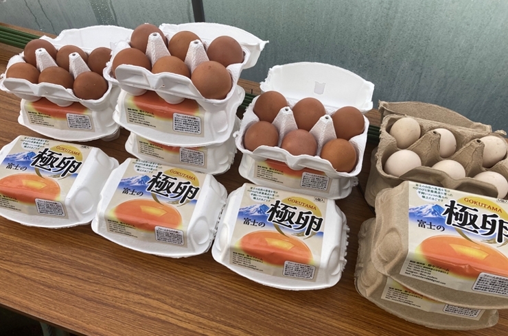 「悠GROUP」富士山の麓、自然の恩恵を受けてのびのび育った放飼い養鶏たまご