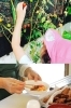 食べ物の大切さ美味しさを学び、栄養士が作る給食を食べます。「わくわく保育園」