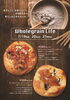 「Wholegrain Lifeフェア」