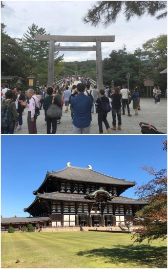 伊勢神宮ツアー、東大寺ツアー「ドリームトラベル株式会社」