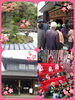 「東城春まつり町並み散策ツアー～三次市イベント、フィットネス、体操、楽しむなら～」
