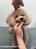 「冬のオプションキャンペーン　^o^」