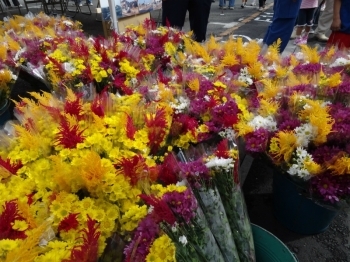色鮮やかな花束はなんと570人分！