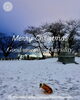 「Thursday, 25th December 2025」