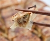「外はカリっと、中は肉汁たっぷり餃子！【佐賀・れんげ】」