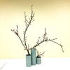 日曜昼間「いけばな嵯峨御流（さがごりゅう）」「【初心者／体験／お花】春は花！やっぱり癒し系レッスン№1　フラワーレッスン【新規／フラワーアレンジ／いけばな】」