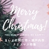 【2025年】岡山市中区・南区・東区・北区、瀬戸内市クリスマス特集