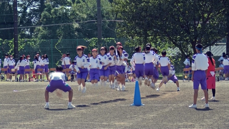 対中祭体育の部「伊東市内中学校体育祭　放送日程」