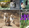 「行船公園の自然動物園で癒されてきました♪」