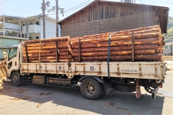 木材は丸太のまま、自社の大型トラックで入庫します。「株式会社南川」