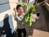 「大根抜き‼」