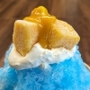 初雪　トロピカル