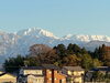 「12月2日（月）」