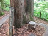 「魚沼の秘湯、栃尾又温泉。ぬる湯でゆっくり、疲れを癒しませんか。」