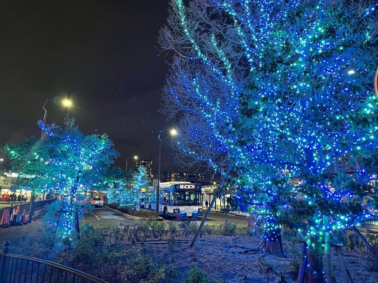 葛飾区のおすすめイルミネーション 21 22 葛飾のおすすめおでかけ情報まとめ まいぷれ 葛飾区 葛飾区のおすすめイルミネーション 21 22 葛飾のおすすめおでかけ情報まとめ まいぷれ 葛飾区