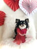 いずるくん「Happy Valentine ♡」