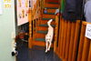 「今日のお友達」