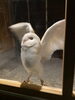 「本日お休みです、申し訳ない( ´Д`)y━･~~」