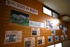 とべ動物園にいる”馬たち”をご紹介！「干支展「2026年 ヒヒ―ン燃えて疾走🐎！丙午（ひのえうま）」」