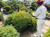 「【庭木の剪定作業✨】【 適正価格と丁寧施工が理念の地元プロフェッショナル集団　みんなの暮らし相談窓口】」