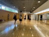 感染対策バッチリ！でも、、ちょっと苦しそう。。。「ショーの練習風景」