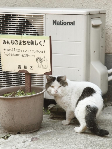 撮影:岡崎写真館/五反田