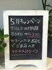 「♡5月キャンペーン♡」