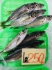 「西海物産館・魚魚市場鮮魚コーナーおすすめは「生うに」です♪」