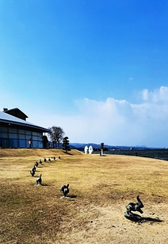 島根美術館裏の岸公園のウサギたち「✿ 日本が世界に誇る『尾州産オールシーズン生地』」