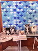 チワワちゃんたち🏡「🐶🐾トリミングされたわんちゃん紹介🍀* ゚」