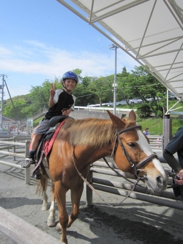 「日本平動物園で馬に乗せてもらったよ！！」