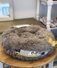 カラー　ライトブラウン「わんこベッド入荷しました　^ - ^」