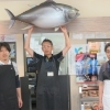 桂魚伊