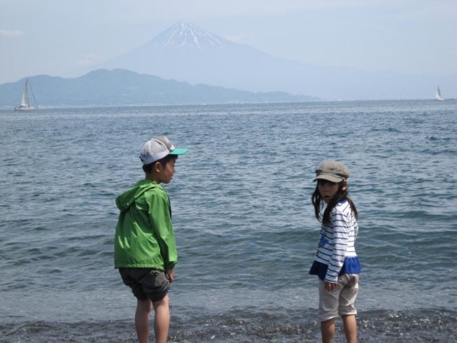 「富士山見えたよ～！！」