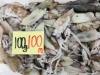 「魚魚市場鮮魚コーナーおすすめは「あゆ・ヤイト」です♪」