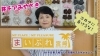 Palette Ribbon（パレットリボン）「#チアみやざき〜動画配信情報⑦〜」