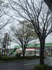 「雨でジメジメしますね~_~;」