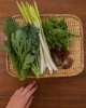 「春の食養生で毎日を心地よく♡【和歌山駅前　腸活ダイエットサロン／発酵美腸料理教室】」