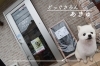 「どっぐさろん あきゅ」お出かけした愛犬が真っ先に立ち寄るサロン、こちらです♪♪
