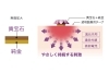 【耳ツボ】みんてぃあ♪【貴宝石】 耳ツボ】みんてぃあ♪【貴宝石】 楽天市場】貴宝石の通販