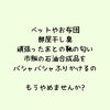 天然素材で作ります「【江戸川区・瑞江】安心・安全な天然素材を使ったアロマクラフト体験ワークショップ開催！お子さま連れOK、初心者歓迎♪自分だけの香りを楽しみながら、日常に癒しと潤いをプラスしませんか？アロマスプレーやバスソルトなど手作りできます◎」
