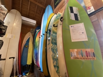 ロングボードやショートボード等、様々なサーフボードを販売！「Surf shop DAPHNE」
