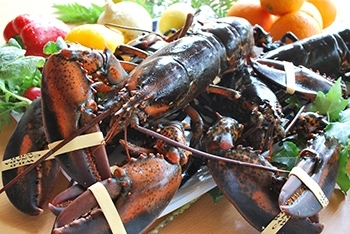 鉄板焼は海の幸や肉料理など五感で楽しむ絶品料理の数々「リーガロイヤルホテル新居浜」