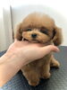 頑張りました　(^-^)「サロンデビュー　^ - ^」