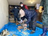切り口に鉋をかけて「地域の方が門松を作ってくださいました。」