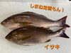 「本日金曜日❗お刺身とお惣菜を販売します❗」