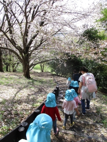 安全に散歩できる都筑の環境「保育園みんなのおうち」