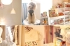 「MARSHMALLOW・DOG（マシュマロ ドッグ）」「わんこと暮らす」方のための小さなサロンです♪